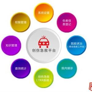 互聯網+創傷智能(néng)救治平台